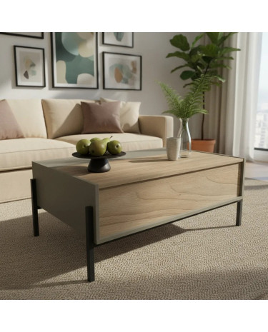 Mesa de Centro c/puerta